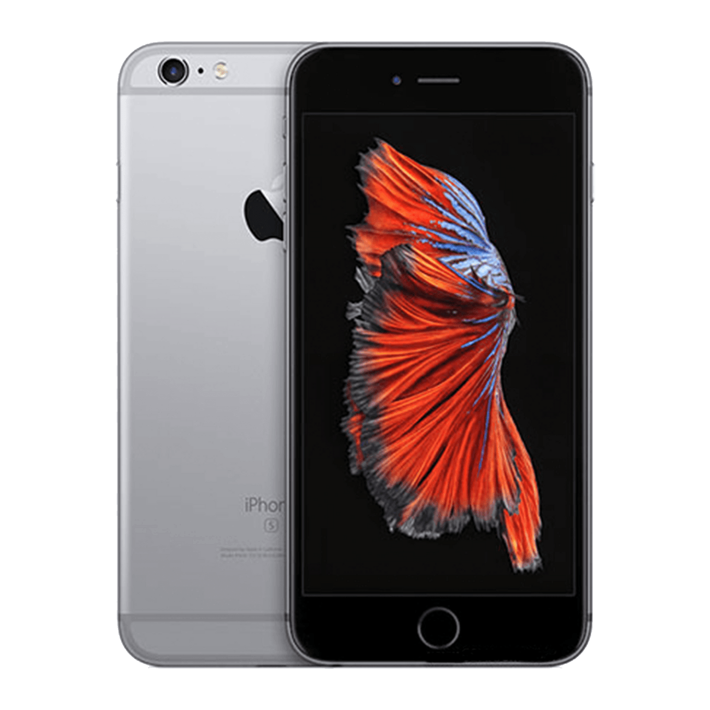 iPhone 6S Plus